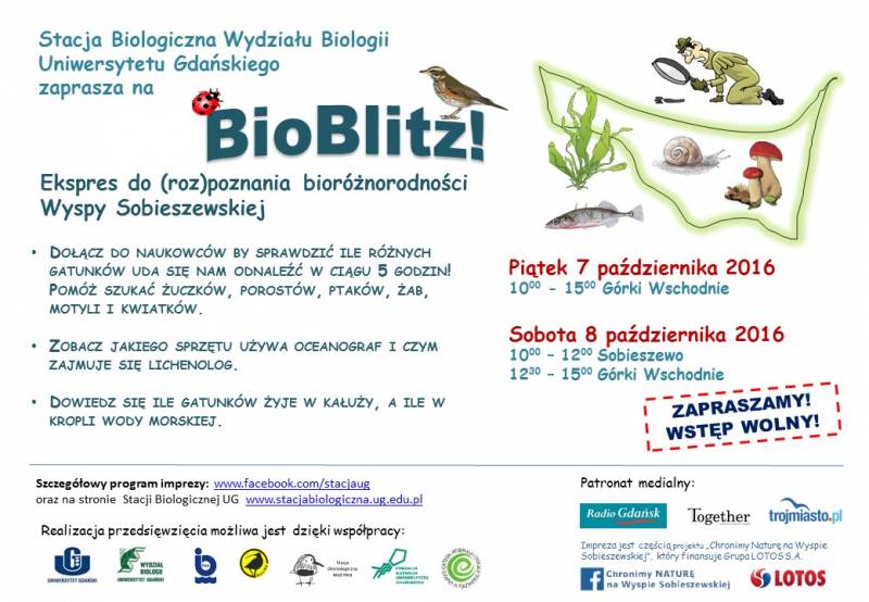 bioblitz na wyspie sobieszewskiej