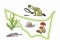 BioBlitz