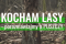 Kocham lasy