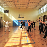 Kung fu / wushu – tradycja, nauka, sport, wychowanie