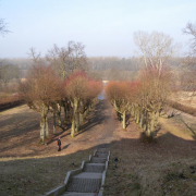 Ostromecko